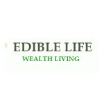 Rebelle Pads Coupon Codes 