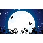 Io-ball Fit Coupon Codes 