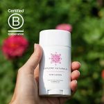 Style Union Home Coupon Codes 
