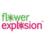 Flower Explosion