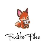 Seeing The Big Picture Coupon Codes 