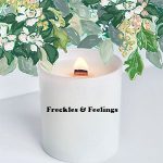 Uipress Coupon Codes 