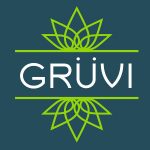 Gruvi