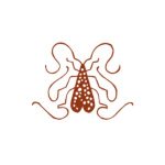 Comfort And Purity Coupon Codes 