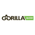 Lala Curvy Coupon Codes 