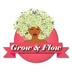 Ezora Hair Collection Coupon Codes 