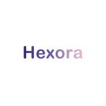 High Societee Store Coupon Codes 