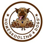 Swiss+Tech Coupon Codes 