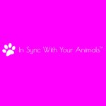 Joga World Coupon Codes 