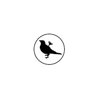 Alxum Coupon Codes 