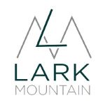 Compose-limited Coupon Codes 