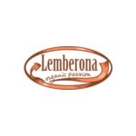 AND CO Coupon Codes 