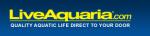 Curlady Coupon Codes 