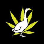 Zefiry Coupon Codes 