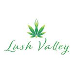 Lush Valley CBD