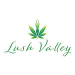 Live Video Protection Coupon Codes 