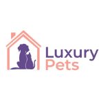 AND CO Coupon Codes 