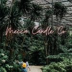 Greyscalegorilla Coupon Codes 