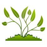 BNTECHGO Coupon Codes 