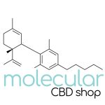 Batch & Bodega Coupon Codes 