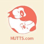 CloudThing Coupon Codes 