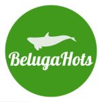 BlingLights Coupon Codes 