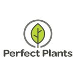 Pure Light Skin Coupon Codes 