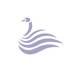AuroraStudio Coupon Codes 