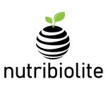 Wear NYLA Coupon Codes 