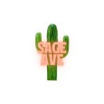 Safehead Inc Coupon Codes 