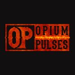 OTTOLOCK Coupon Codes 