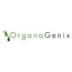 Archive Coupon Codes 