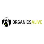High Societee Store Coupon Codes 