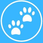 Developrise Coupon Codes 