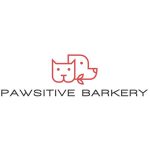 DISCVR Coupon Codes 