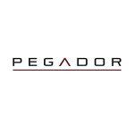 GVMOTOR Coupon Codes 