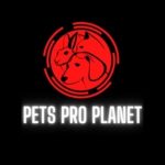 The Pet Design Group Coupon Codes 