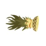 PICA PICA TX Coupon Codes 
