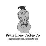 Coder Shots Coupon Codes 