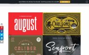 PainterVision Coupon Codes 