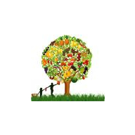 Haaga Coupon Codes 