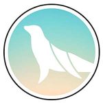 Fairy Friends Ragdolls Coupon Codes 