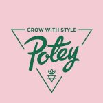 Automatic.css Coupon Codes 
