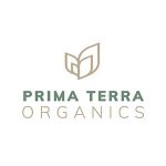 The Web Coupon Codes 