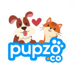 Disney Interactive Studios Coupon Codes 