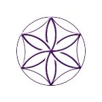 TC Audio Coupon Codes 