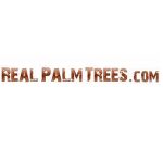MODIUS Coupon Codes 
