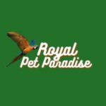 Frenchie Store Coupon Codes 