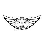 Nothing But Savings Coupon Codes 