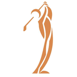 PlaneSWING Coupon Codes